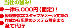 当社の強み!一律5,000円(固定)!経験豊富なスタッフがメール文章の作成から配信のシステム設定まで全て代行